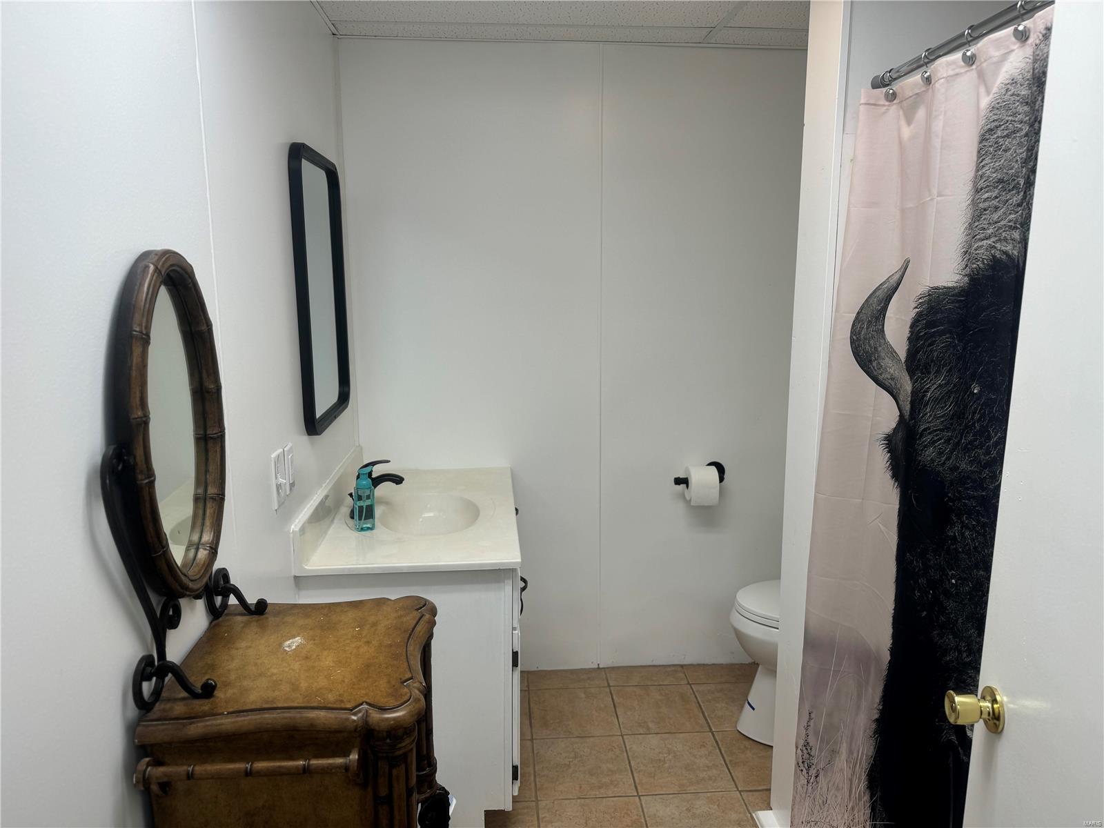 31386 158th Street Canton, MO 63435 - Photo 41 of 43