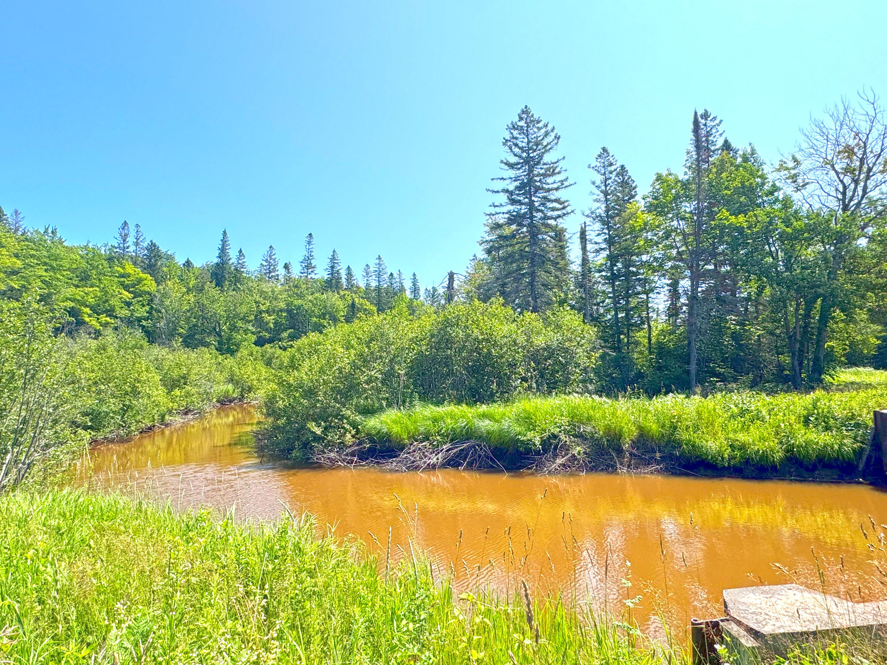 41483 West Betsy River Road Paradise, MI 49768 - Photo 24 of 55 Gallery Image 24