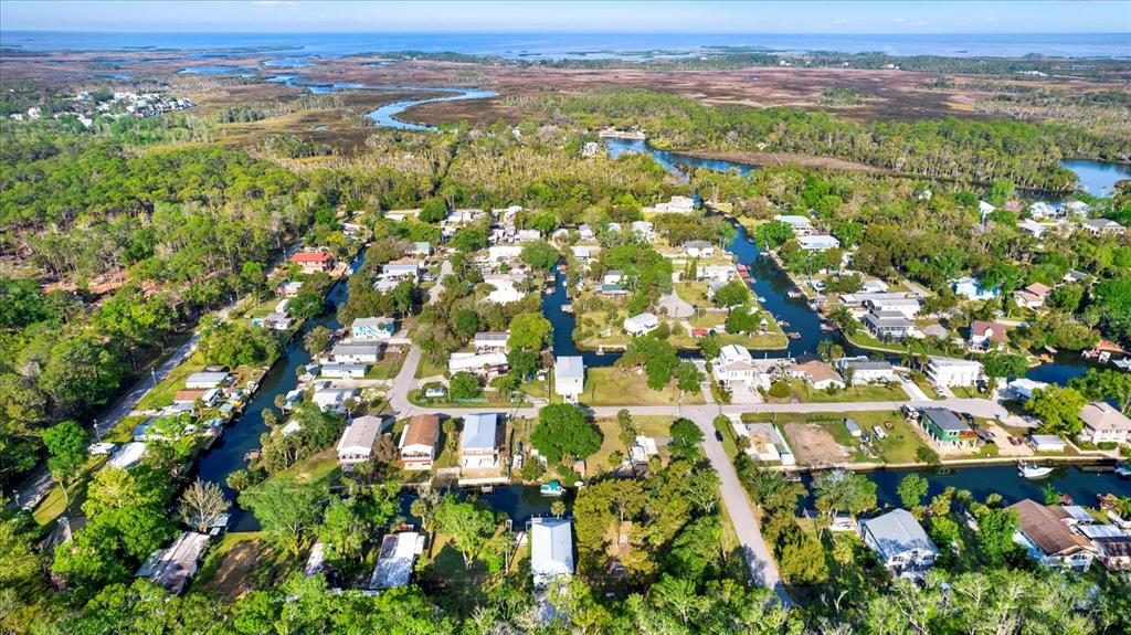 6230 Island Drive Weeki Wachee, FL 34607 - Photo 9 of 15