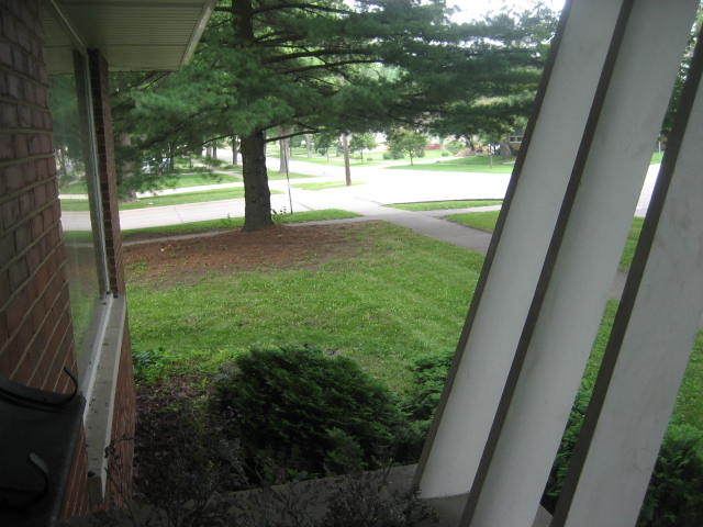 224 East Harrison Road Lombard, IL 60148 - Photo 23 of 24 a view of yard from a window