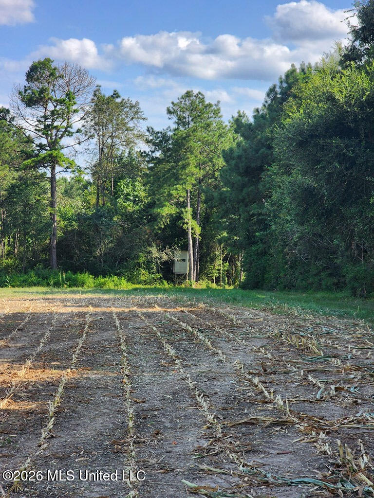 121 Molly Road Foxworth, MS 39483 - Photo 43 of 53 189199_16