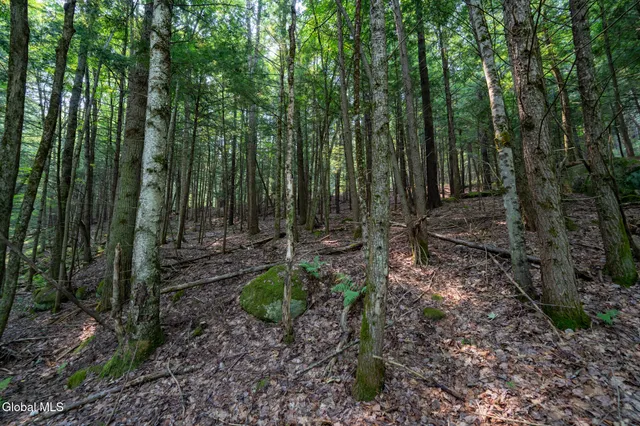 $729,900 | L11 North Shore Drive, Northville, NY 12134