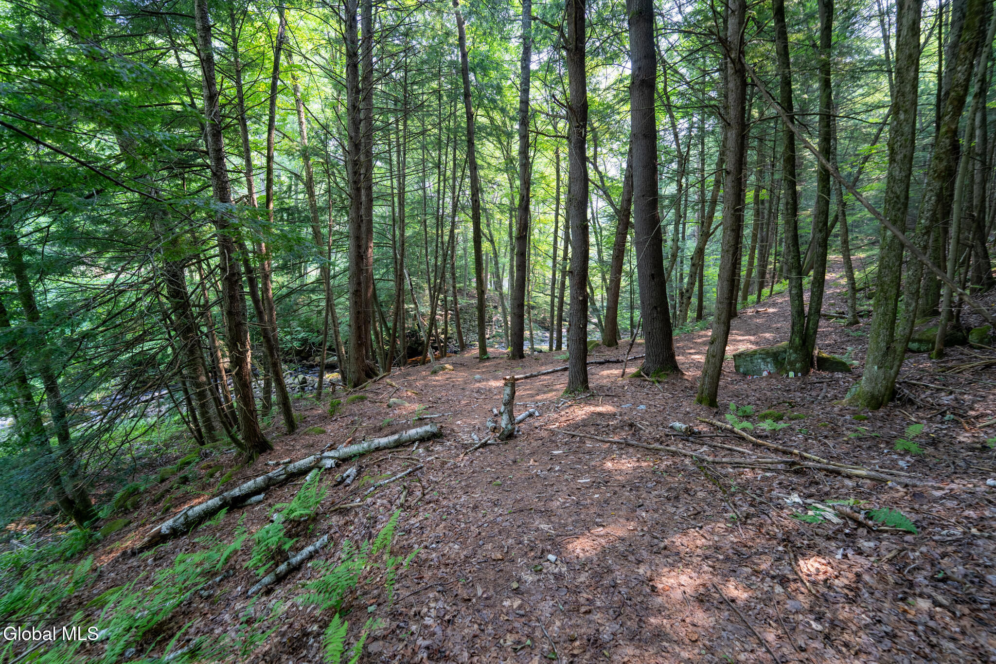 L11 North Shore Road Northville, NY 12134 - Photo 15 of 21 DSC04339-HDR