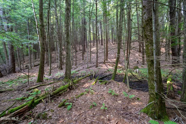 $729,900 | L11 North Shore Drive, Northville, NY 12134