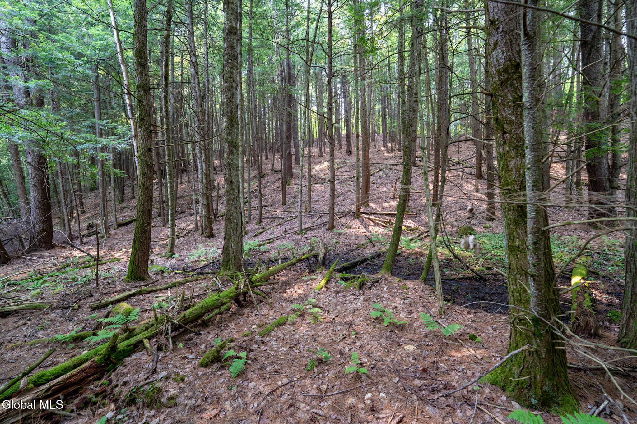L11 North Shore Road Northville, NY 12134 - Photo 16 of 21 DSC04344-HDR