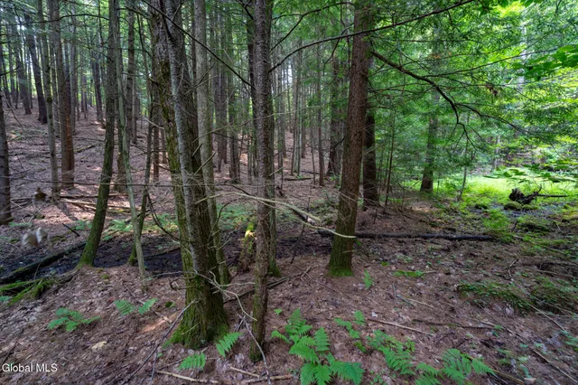 $729,900 | L11 North Shore Drive, Northville, NY 12134