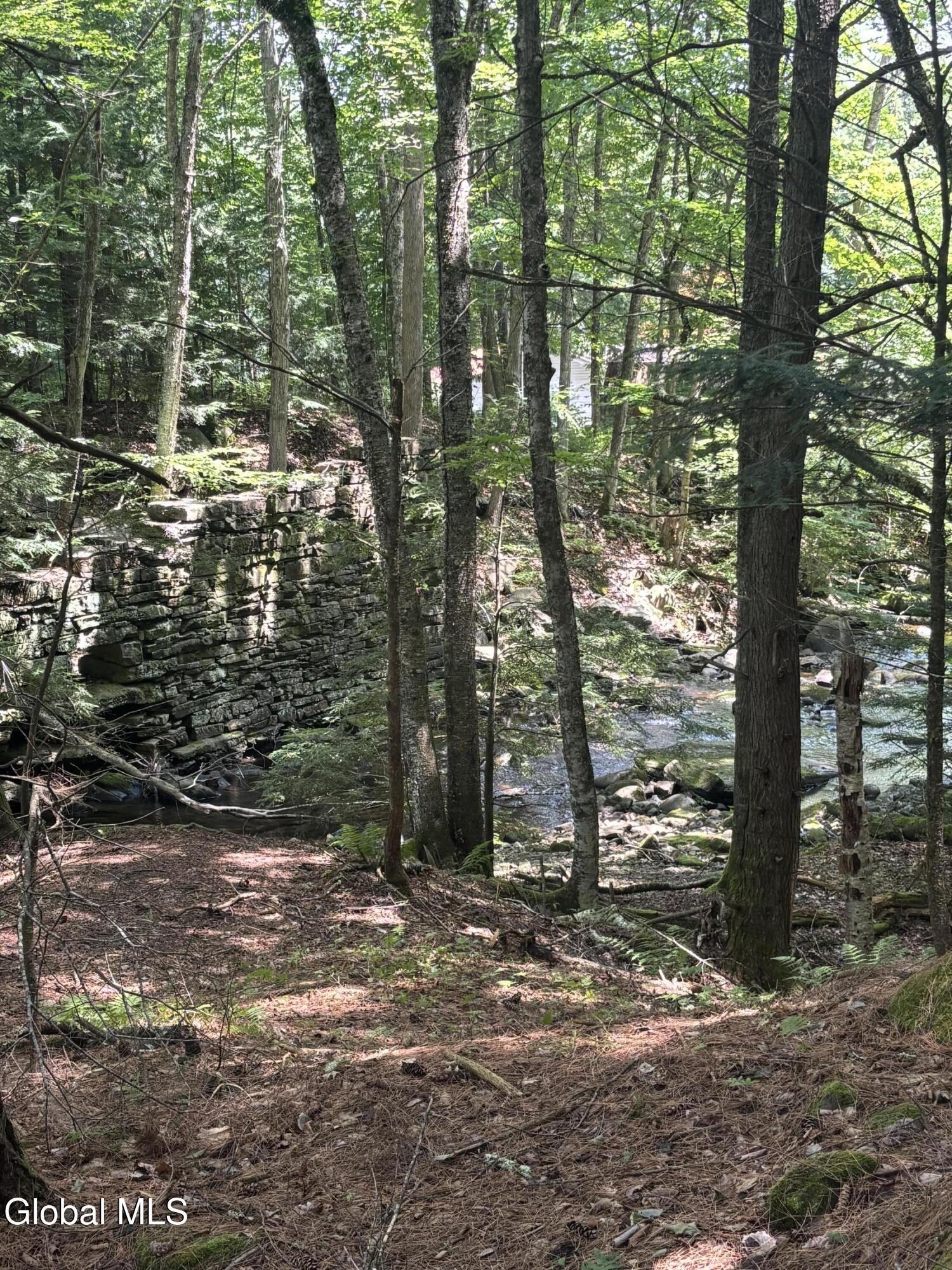 L11 North Shore Road Northville, NY 12134 - Photo 19 of 21 IMG_6727