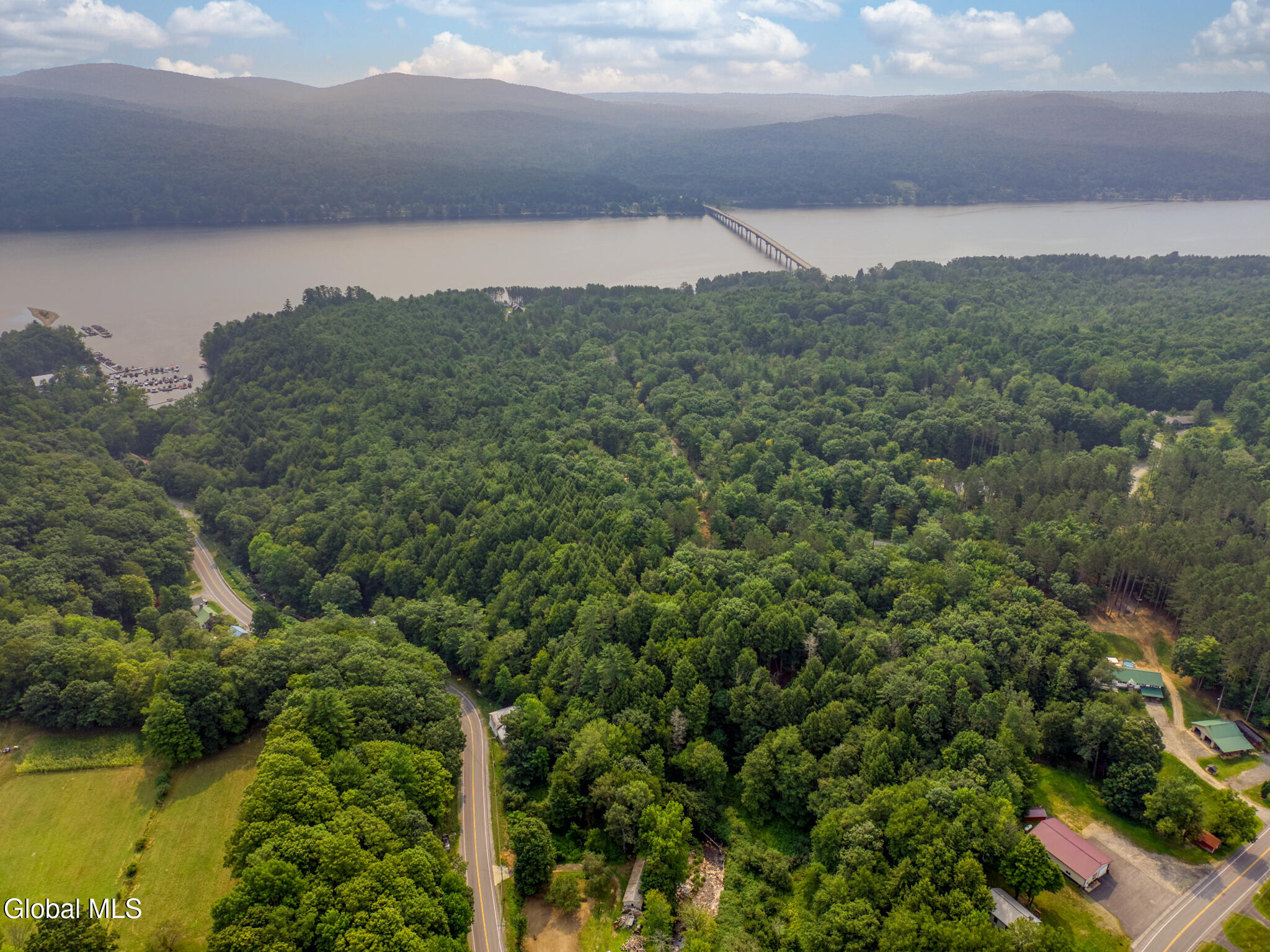 L11 North Shore Road Northville, NY 12134 - Photo 5 of 21 DJI_20250804103705_0093_D-Edit