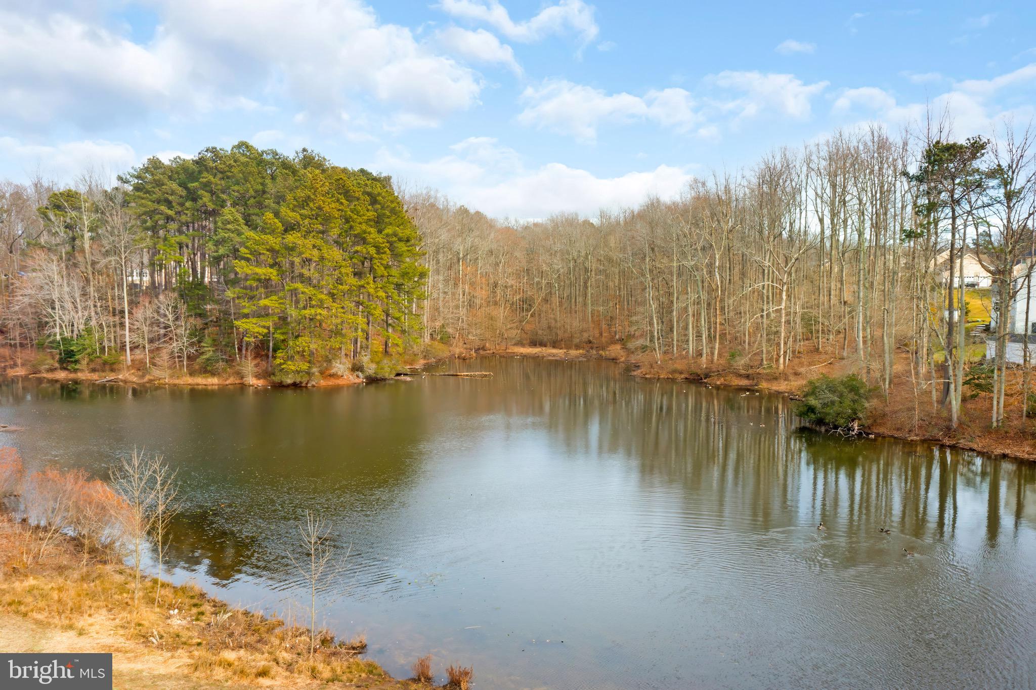 3196 Huntsman Drive Huntingtown, MD 20639 - Photo 29 of 37 Community lake