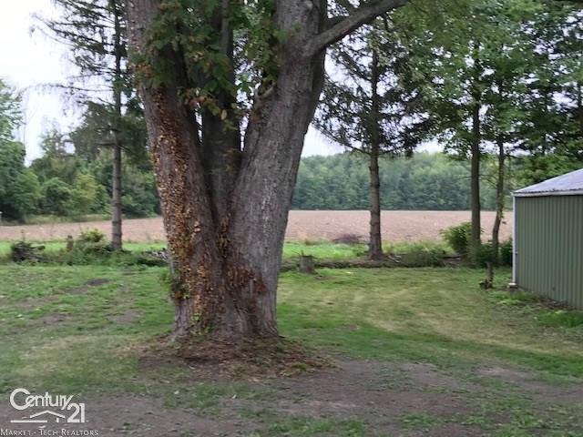 1511 Wales Center Road Goodells, MI 48027 - Photo 41 of 42 31393636-43.JPG