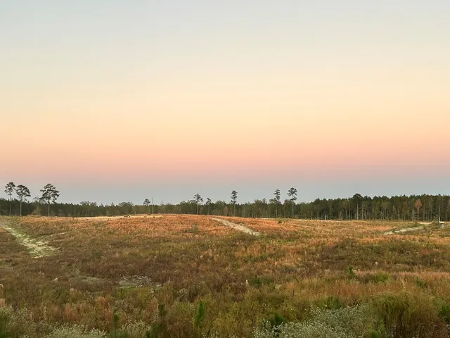 $65,300 | Undisclosed Address, Liberty, MS 39645