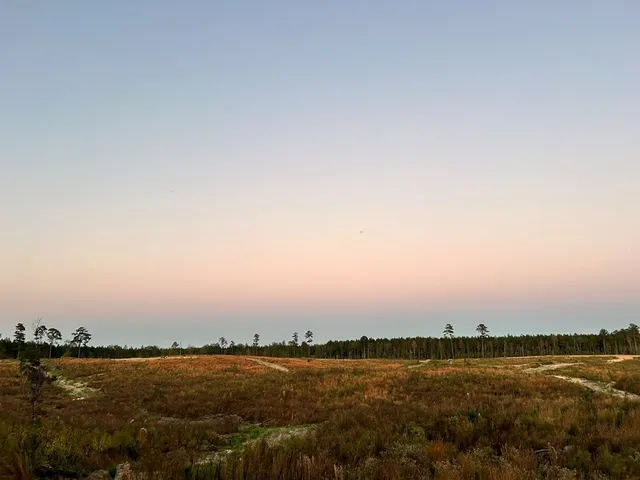 $65,300 | Undisclosed Address, Liberty, MS 39645