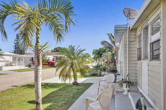 a view of a backyard with palm tree