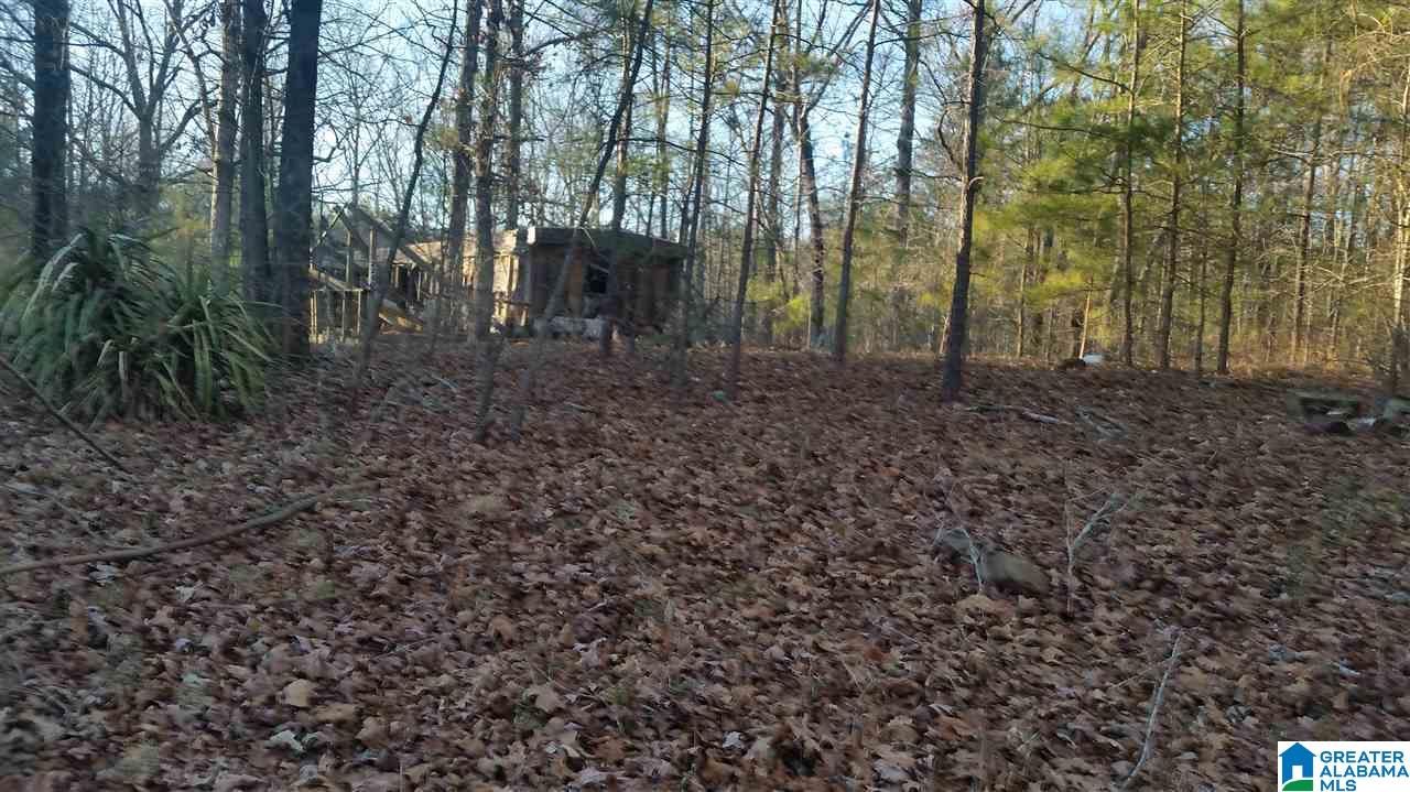 2244 Morris Majestic Road, Unit LOT 5 Morris, AL 35116 - Photo 1 of 10