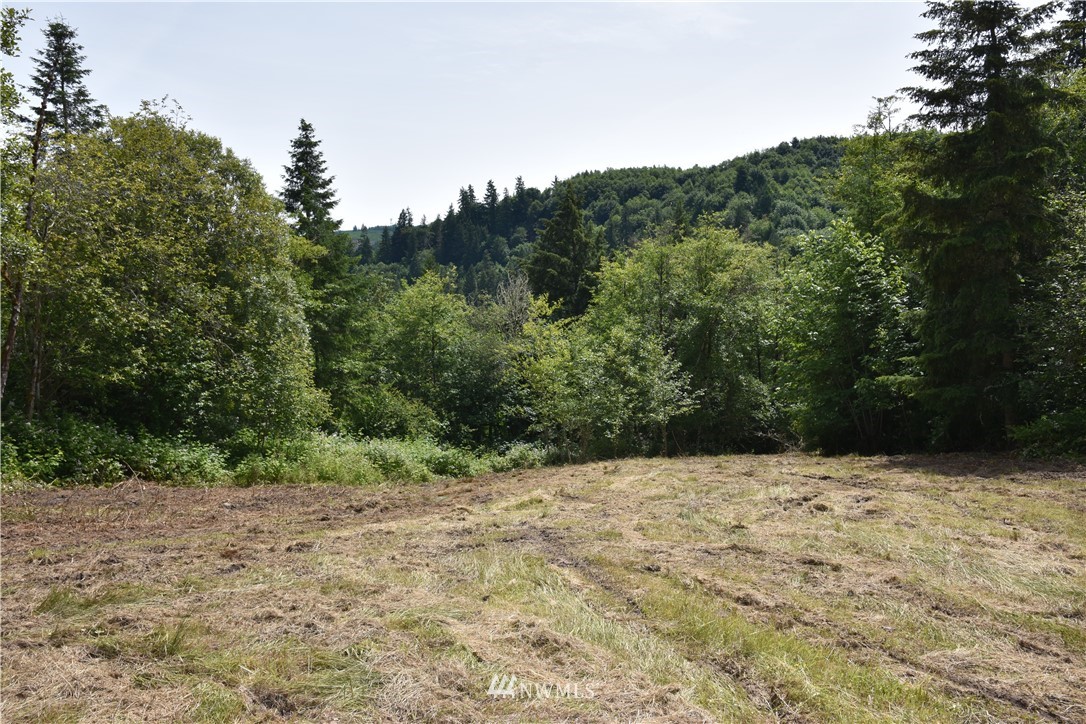 2128 Kalama River Road Kalama, WA 98625 - Photo 8 of 28 Gallery Image 8