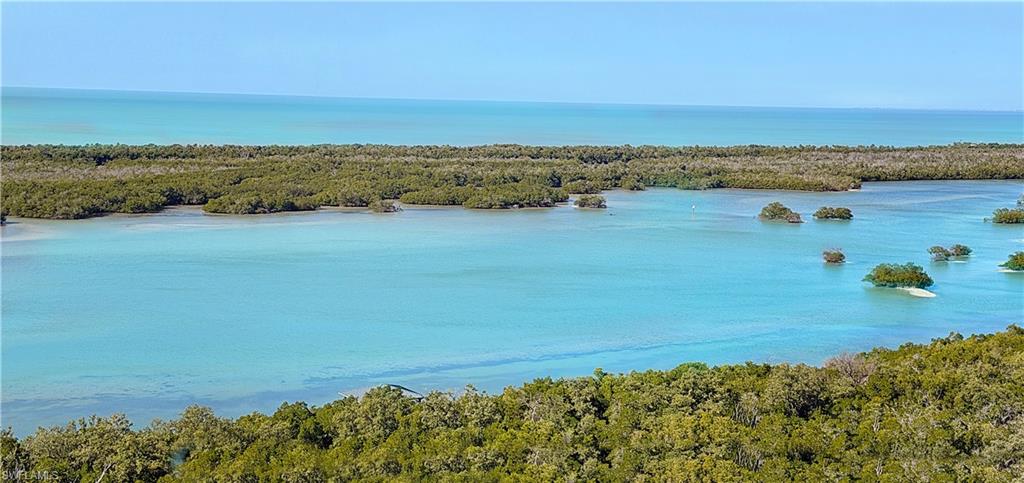 13925 Old Coast Road, Unit 1705 Naples, FL 34110 - Photo 26 of 42 Water view with a heavily wooded area