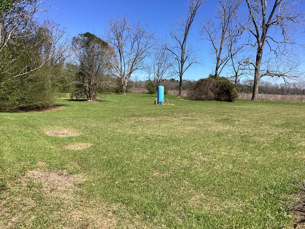 0 Benton Store Road Columbia, AL 36319 - Photo 7 of 24