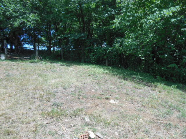 2402 Mt Pleasant Church Road Fincastle, VA 24090 - Photo 17 of 17 DSCN8034