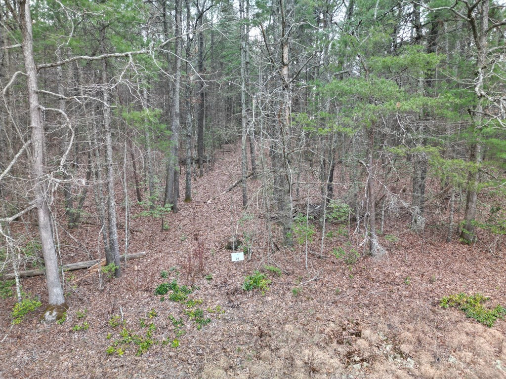 Lot #29 Liberty Road Murphy, NC 28906 - Photo 2 of 3