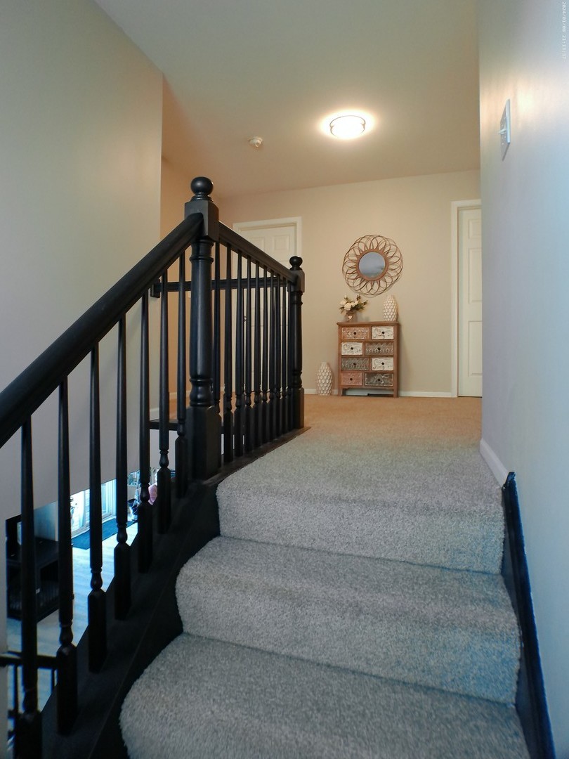 1404 Roth Drive Joliet, IL 60431 - Photo 27 of 52 a view of entryway