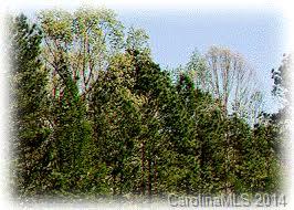 4165 Deal Road Claremont, NC 28610 - Photo 1 of 1 Gallery Image 1