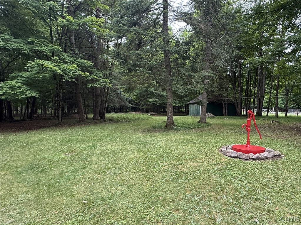 1216 Bear Creek Road Forestport, NY 13494 - Photo 30 of 32