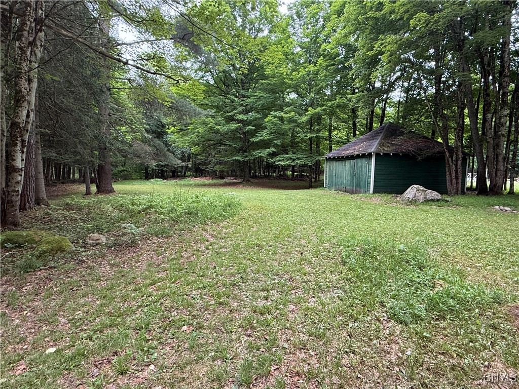 1216 Bear Creek Road Forestport, NY 13494 - Photo 31 of 32