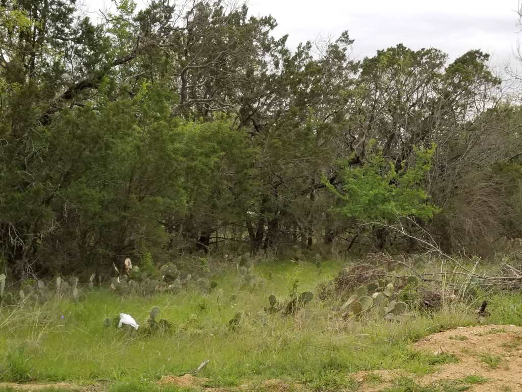 Tbd Tbd Azalea And Nevada Kingsland, TX 78639 - Photo 1 of 1