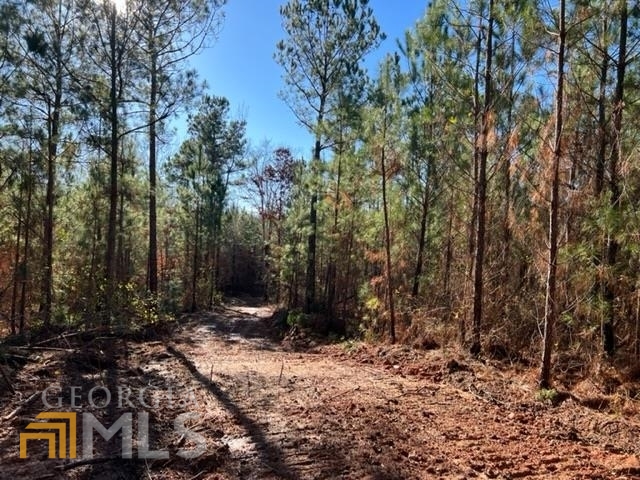 33 James Posey Road Junction City, GA 31812 - Photo 1 of 1 Gallery Image 1