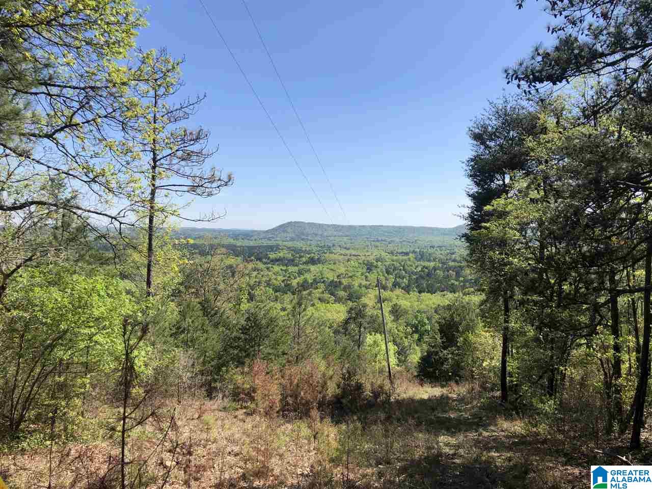 1234 High Road, Unit 1 Columbiana, AL 35051 - Photo 5 of 38