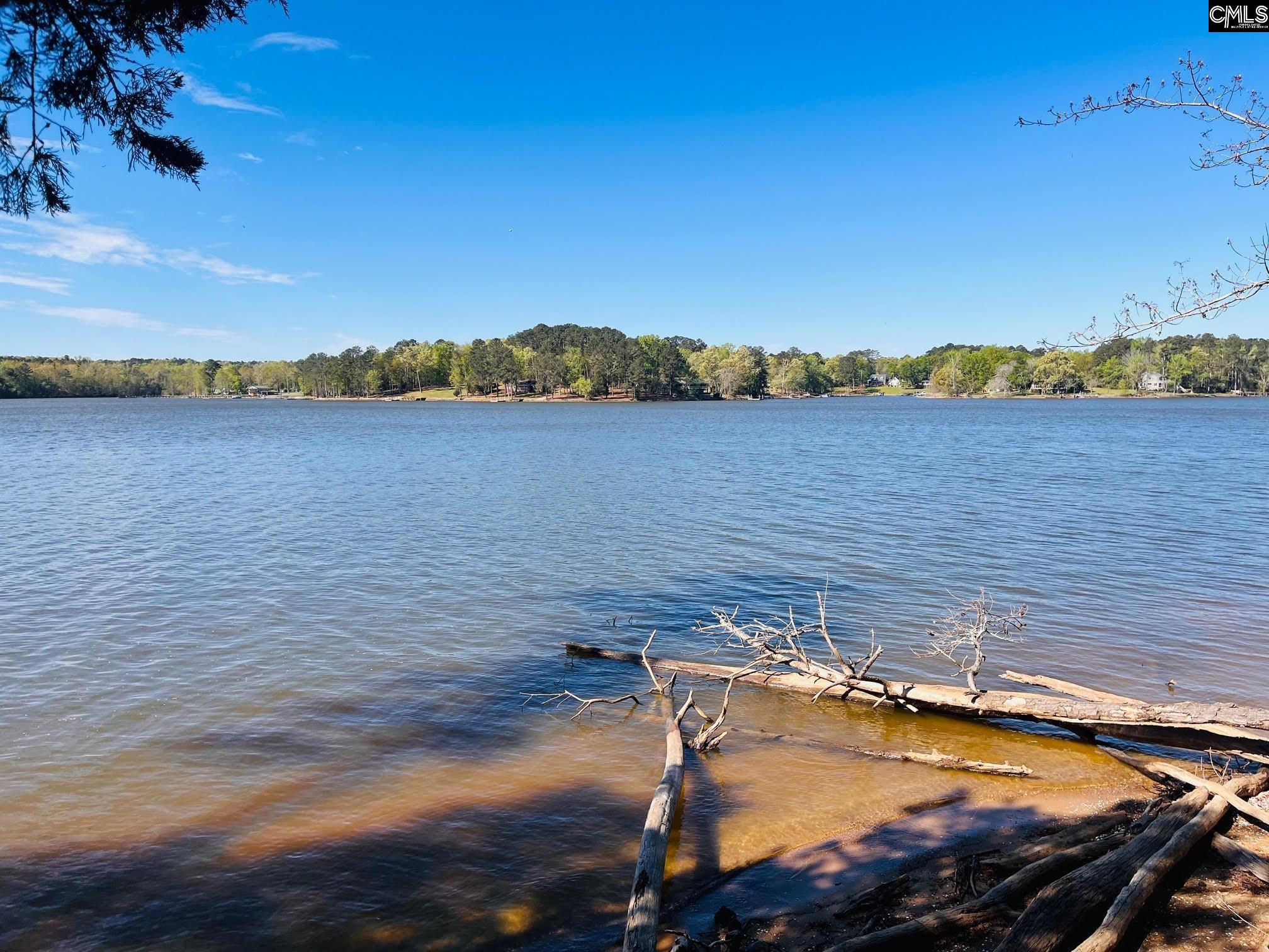 0 Lands End Lane Prosperity, SC 29127 - Photo 2 of 20