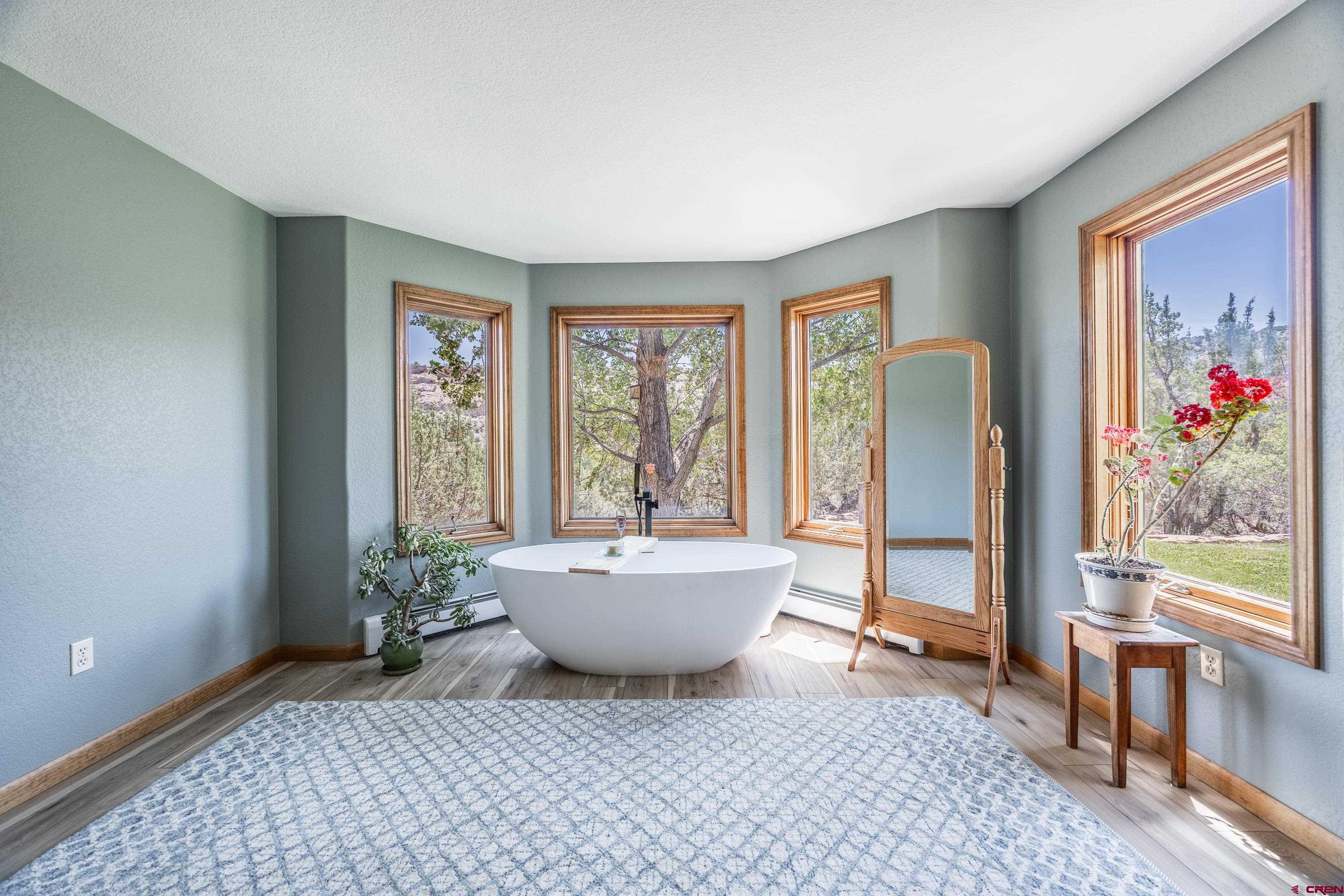 18865 Spring Canyon Road Montrose, CO 81403 - Photo 28 of 44 Soaking Tub