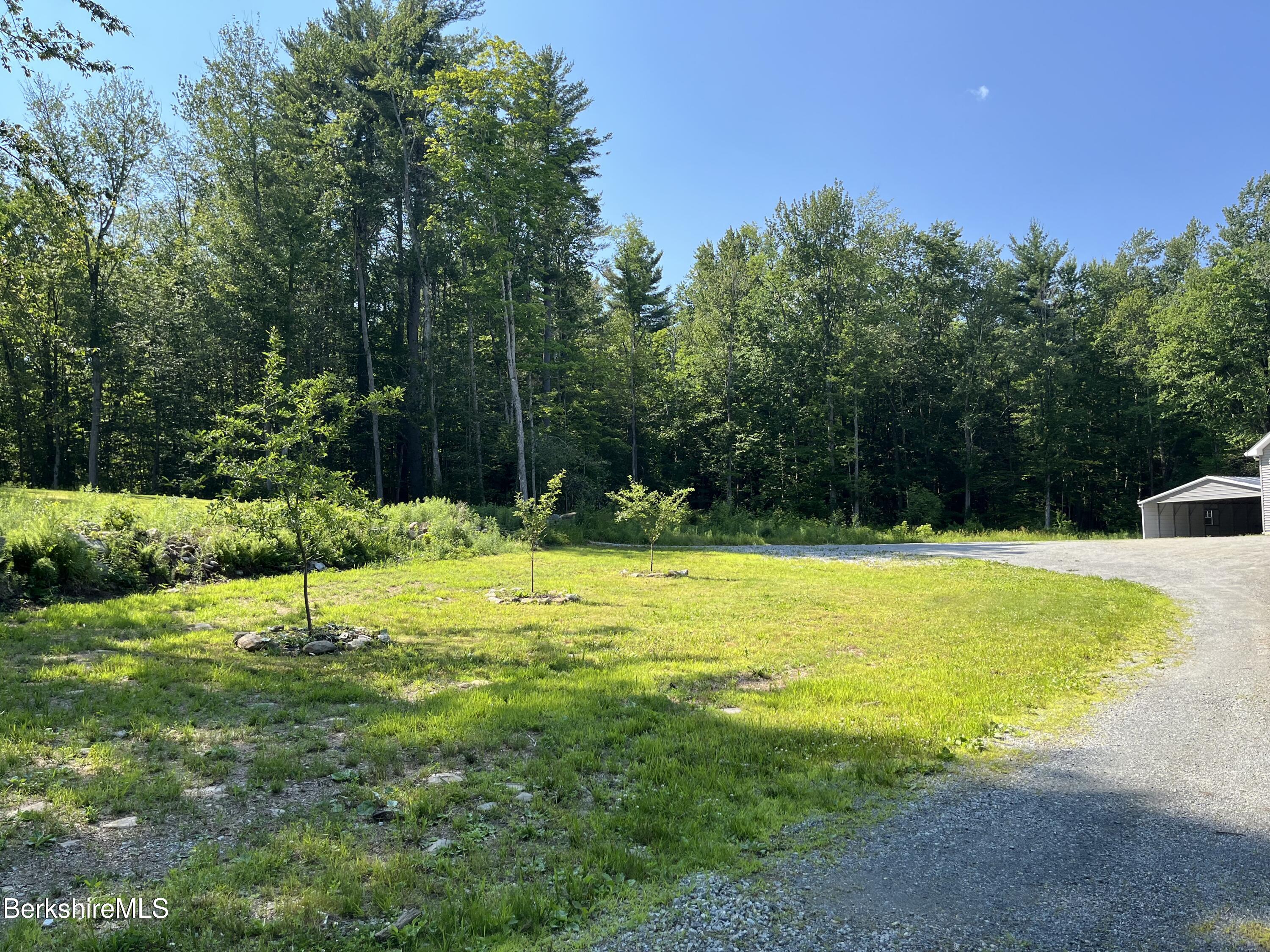 190 Becket Road Otis, MA 01029 - Photo 13 of 43 Fruit trees A