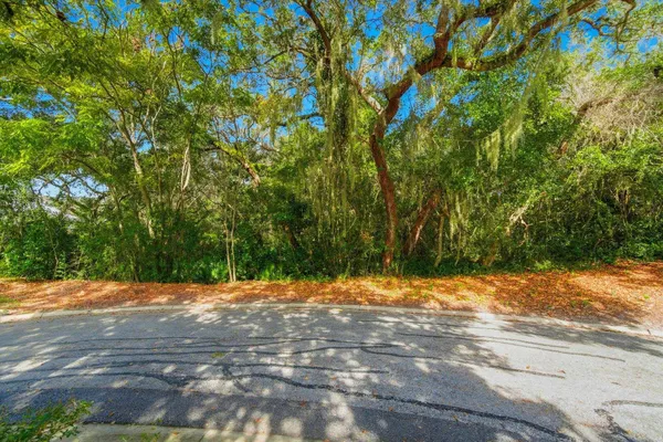 a view of a yard with trees