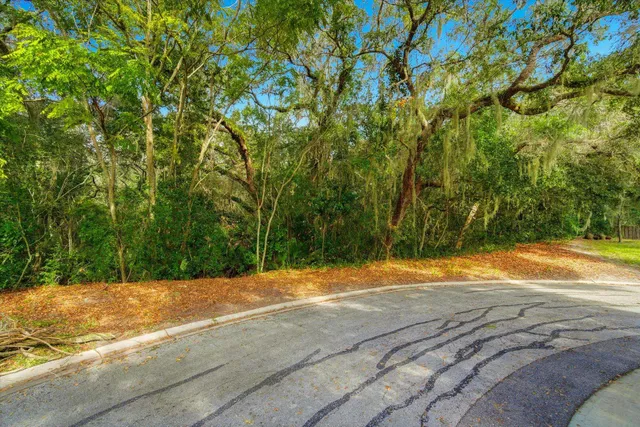 a backyard of a house with large trees
