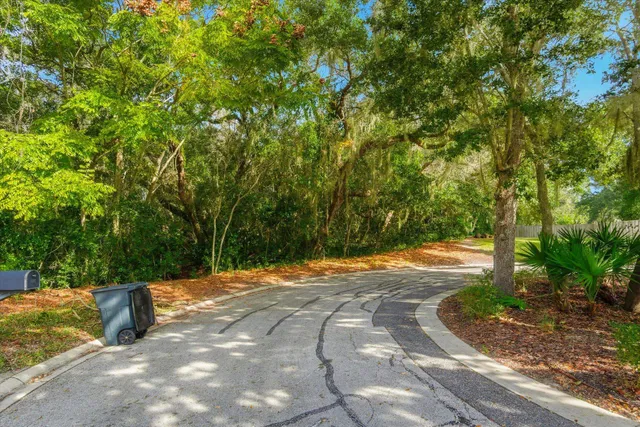 a view of backyard with tree