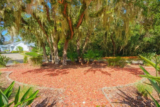 a view of backyard with green space