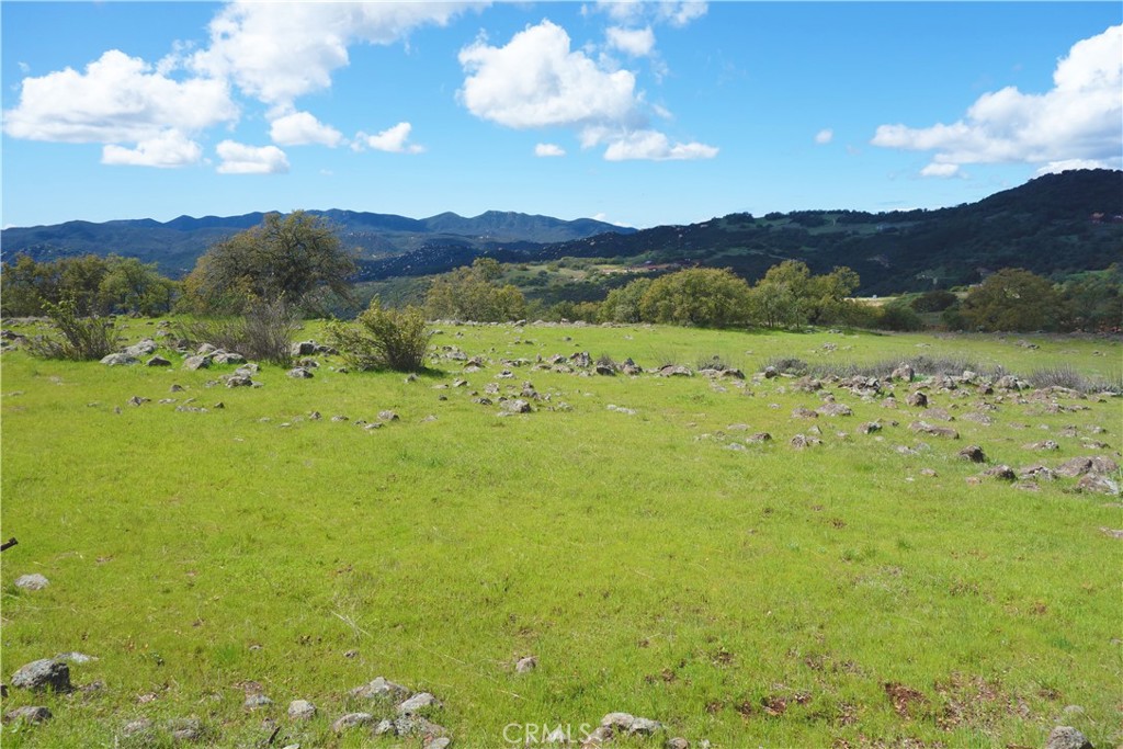20 Avocado Mesa Road Murrieta, CA 92562 - Photo 5 of 11 a view of a lush green hillside and a houses