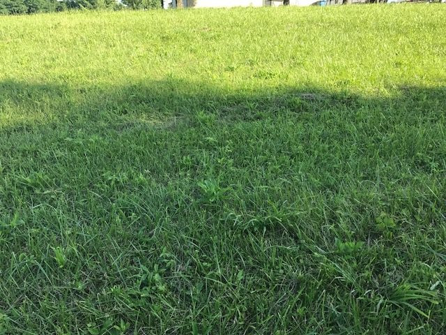7.76-acres Heathen Ridge Road Crittenden, KY 41030 - Photo 20 of 21