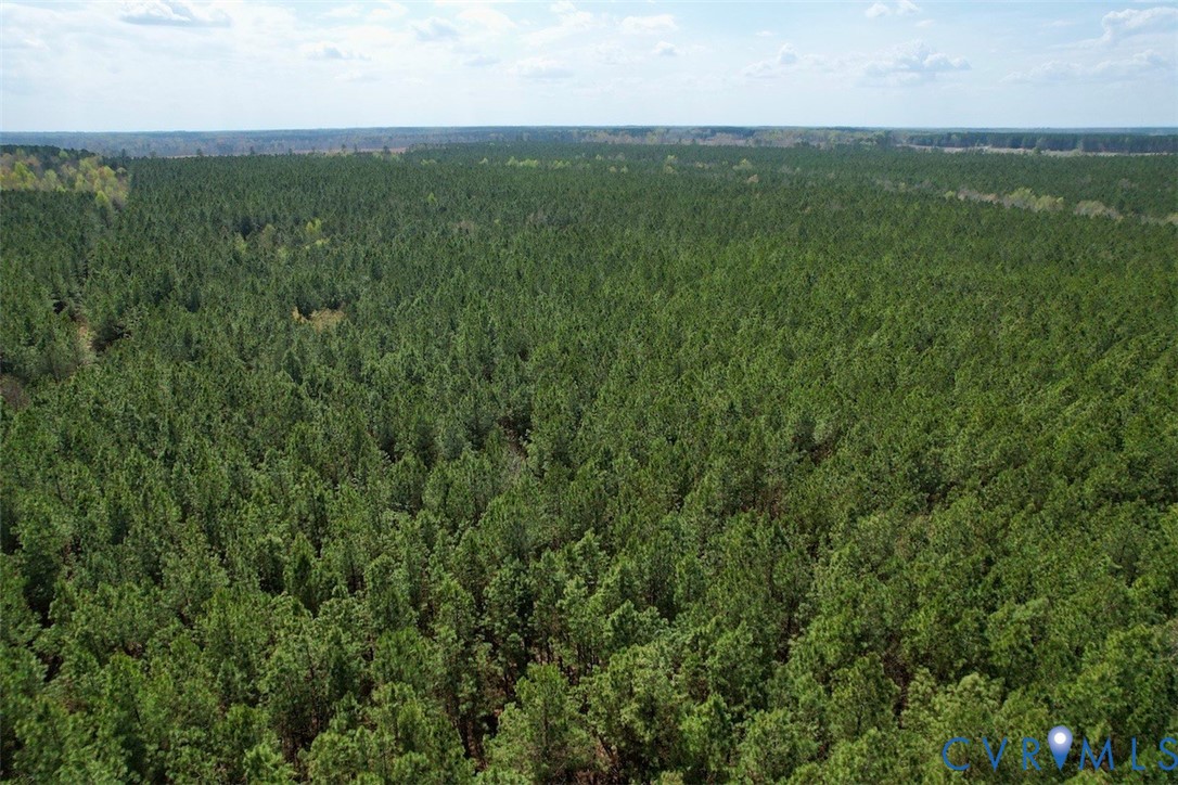 1201 Wills Road Blackstone, VA 23824 - Photo 11 of 29