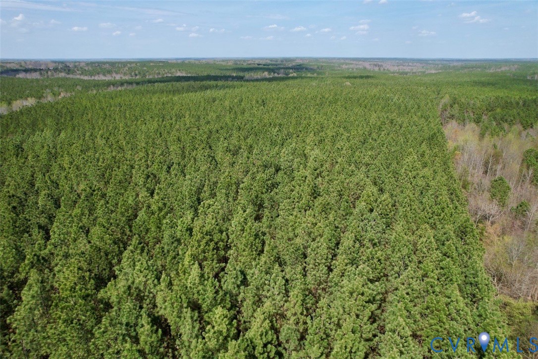 1201 Wills Road Blackstone, VA 23824 - Photo 12 of 29