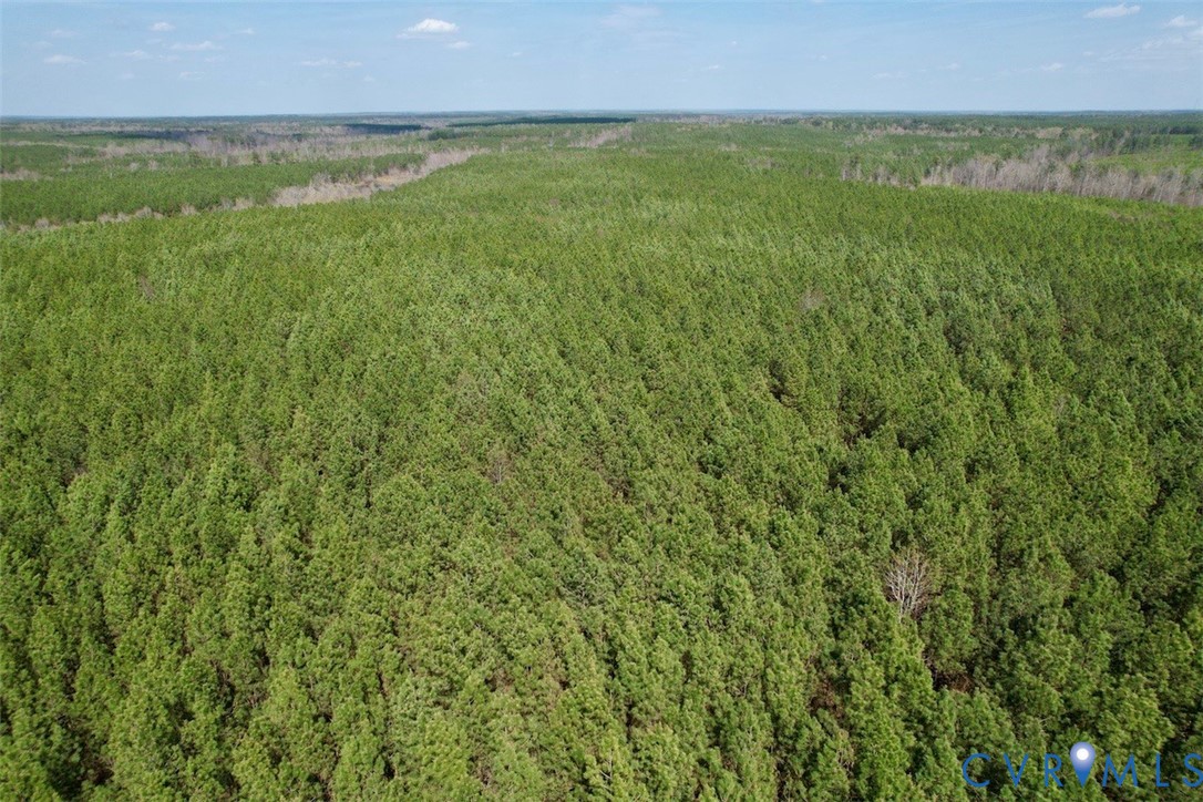 1201 Wills Road Blackstone, VA 23824 - Photo 14 of 29