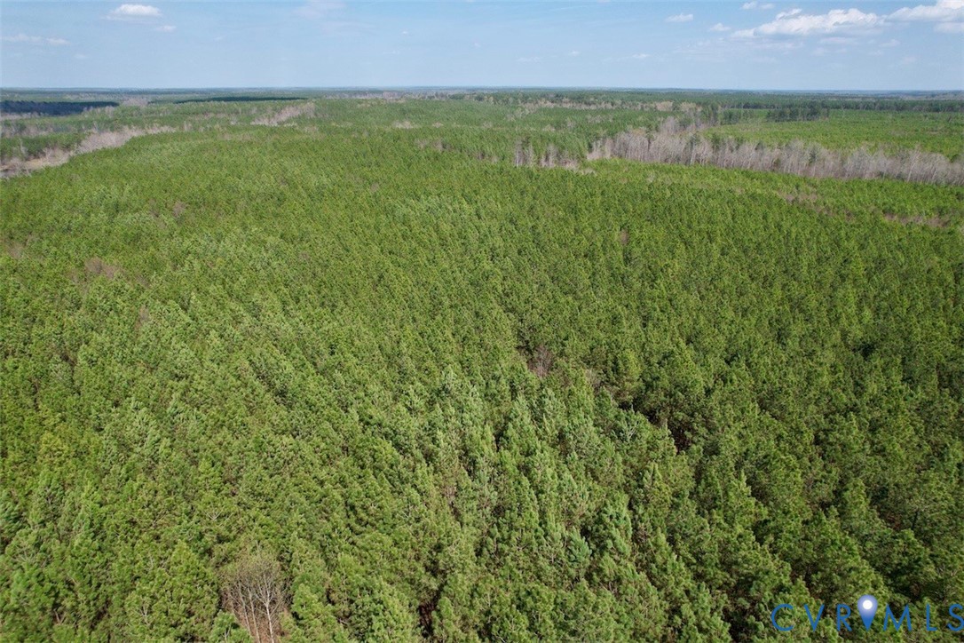 1201 Wills Road Blackstone, VA 23824 - Photo 15 of 29