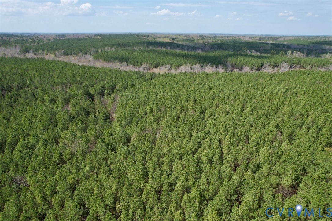 1201 Wills Road Blackstone, VA 23824 - Photo 16 of 29