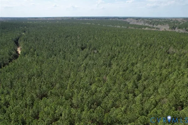 a view of a green field with lots of bushes