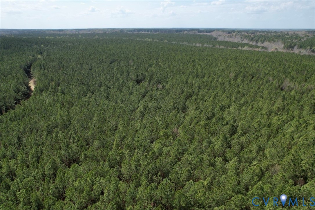 1201 Wills Road Blackstone, VA 23824 - Photo 17 of 29