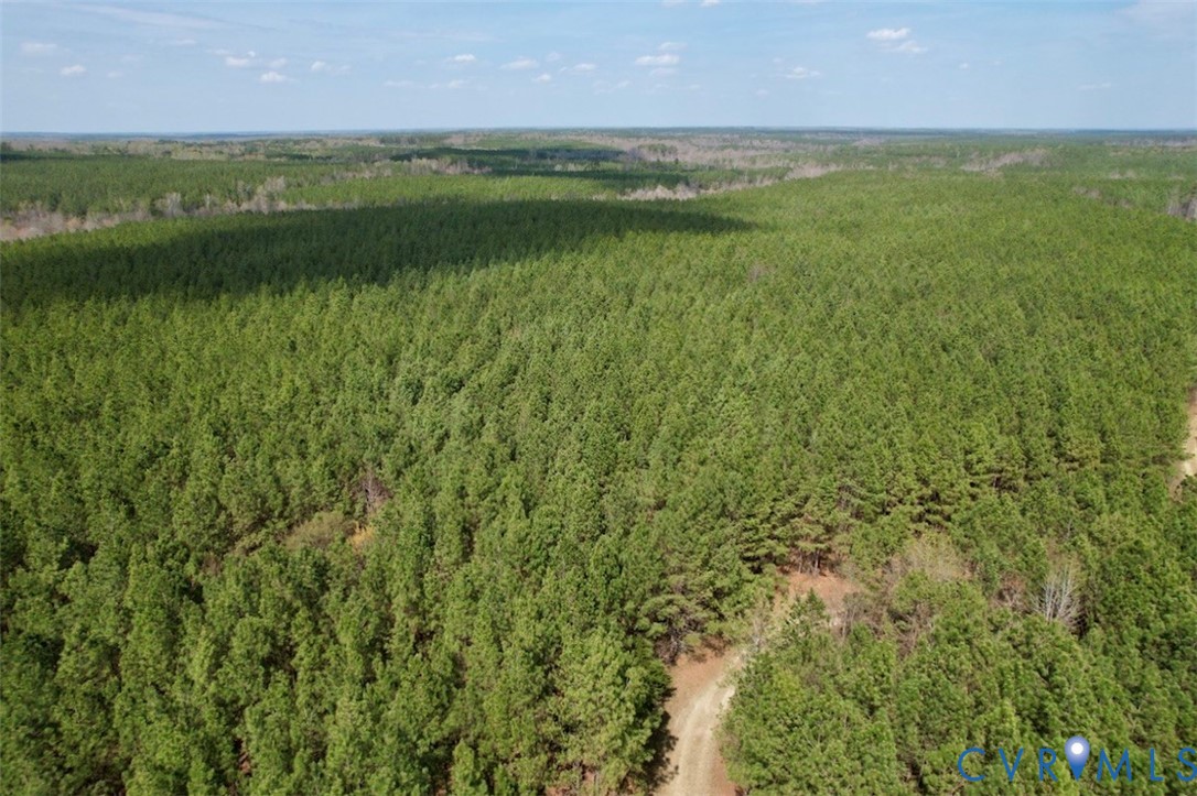 1201 Wills Road Blackstone, VA 23824 - Photo 18 of 29