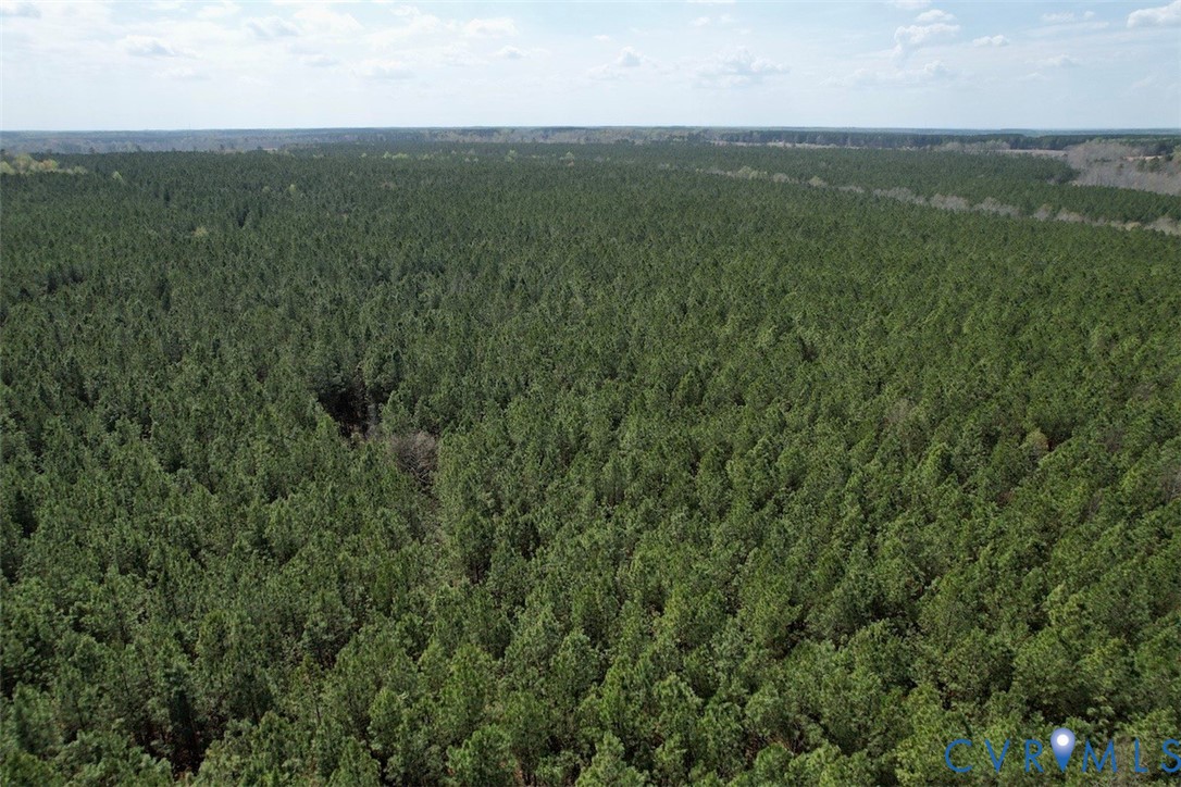 1201 Wills Road Blackstone, VA 23824 - Photo 19 of 29