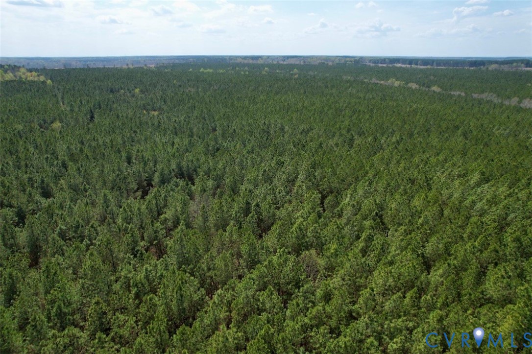 1201 Wills Road Blackstone, VA 23824 - Photo 20 of 29