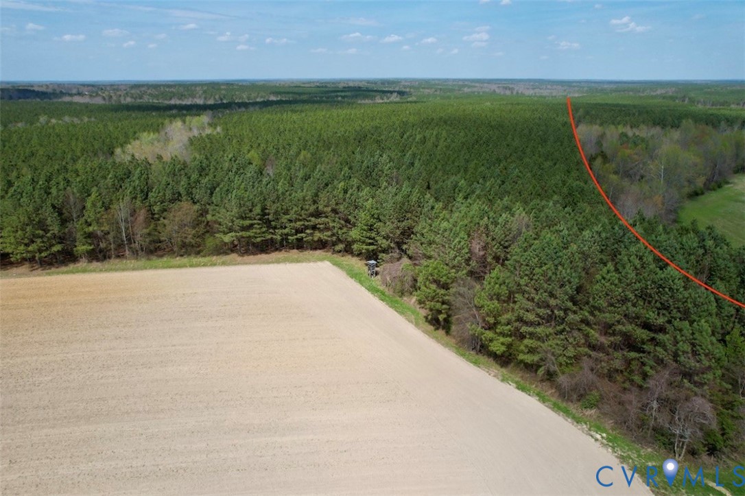 1201 Wills Road Blackstone, VA 23824 - Photo 2 of 29